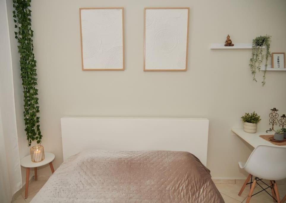 Florina Modern Studio Exteriér fotografie