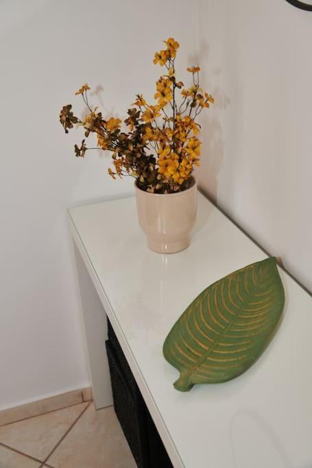 Florina Modern Studio Exteriér fotografie